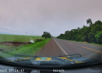 Condutor tenta escapar da PRF e capota carro carregado com 150 kg de maconha na BR-369