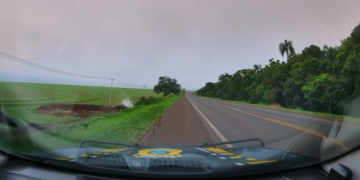 Condutor tenta escapar da PRF e capota carro carregado com 150 kg de maconha na BR-369