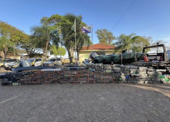 Paraná é o estado que mais apreendeu maconha no Brasil em 2025