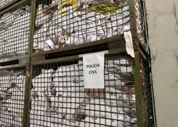 PCPR elimina cerca de 5 toneladas de documentos arquivados em delegacias de Curitiba e RMC