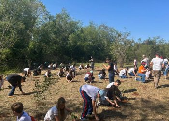 Brinquedo ou roupa por mudas nativas: IAT lança campanha para o Dia das Crianças