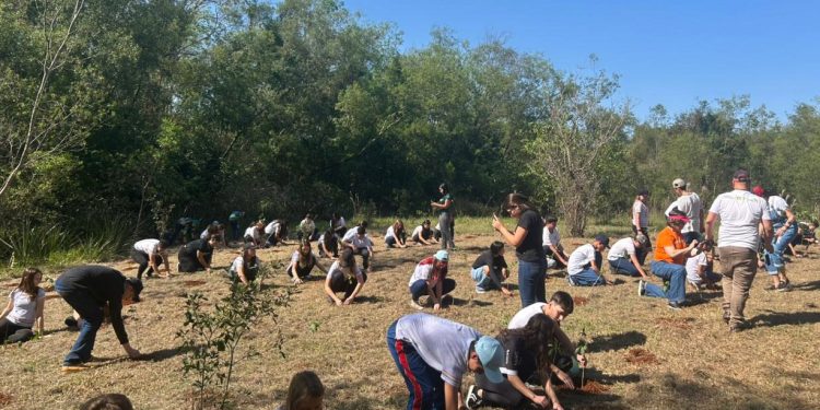 Brinquedo ou roupa por mudas nativas: IAT lança campanha para o Dia das Crianças