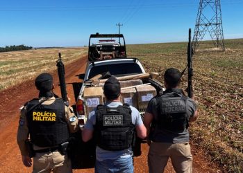 PF apreende carga de cigarros eletrônicos