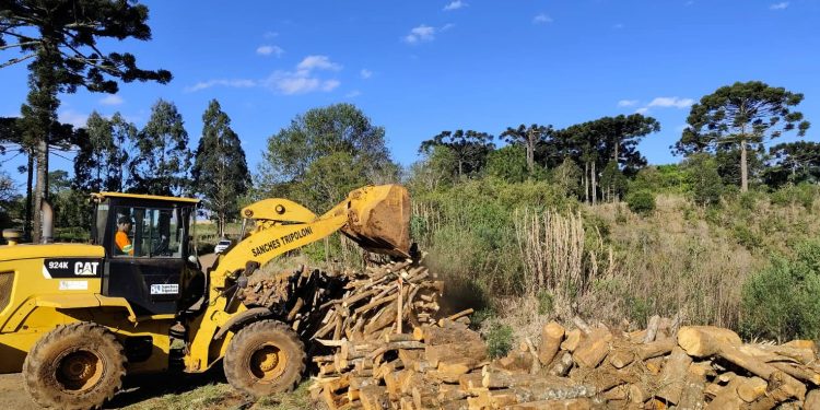 DER/PR alerta que pegar madeiras de rodovias em obras configura crime de furto