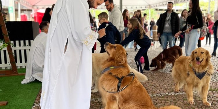 Dia de São Francisco de Assis tem tradicional Bênção dos Animais na PUCPR