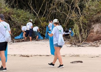 IAT oferece seguro de vida para proteger voluntários que atuam no meio ambiente