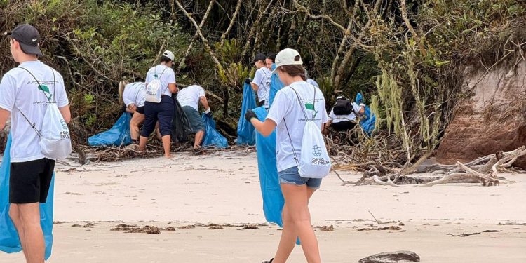 IAT oferece seguro de vida para proteger voluntários que atuam no meio ambiente