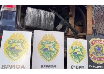 PMPR apreende mais de uma tonelada de maconha e fuzil