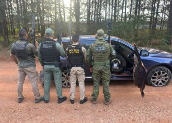 PMPR apreende mais de uma tonelada de maconha e fuzil