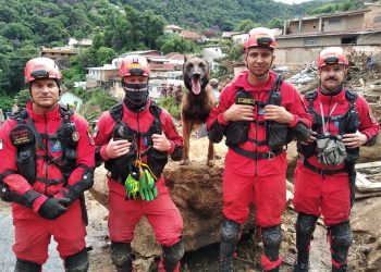 Corpo de Bombeiros Militar do Paraná celebra 113 anos com programação aberta ao público