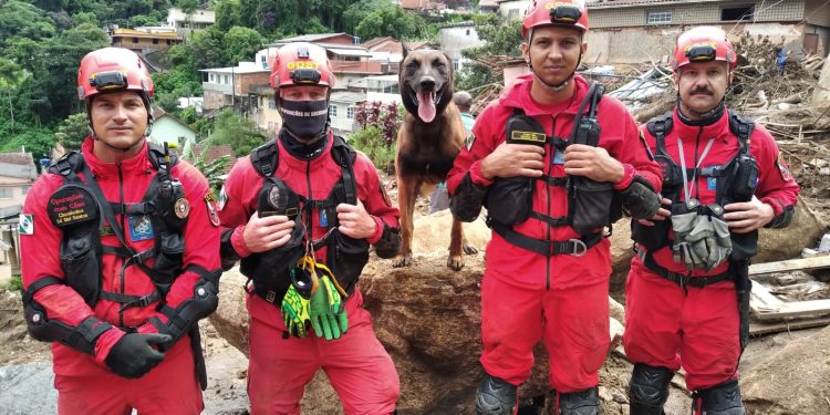 Corpo de Bombeiros Militar do Paraná celebra 113 anos com programação aberta ao público