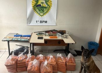 PMPR cumpre oito mandados de busca e apreensão em Ponta Grossa