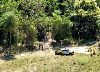 Operação Mata Atlântica em Pé: PMPR aplica mais de R$ 19 milhões em multas