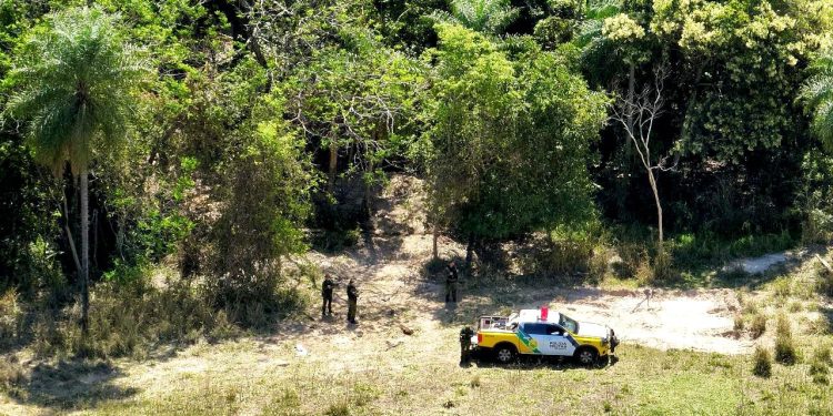 Operação Mata Atlântica em Pé: PMPR aplica mais de R$ 19 milhões em multas