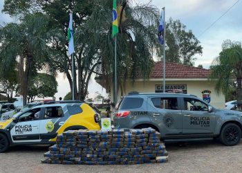 PMPR apreende quase 5 toneladas de maconha na região Noroeste em dois meses