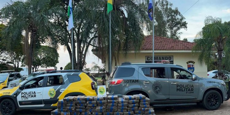 PMPR apreende quase 5 toneladas de maconha na região Noroeste em dois meses