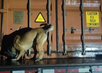 PMPR e PF apreendem mais de 11 toneladas de maconha em fiscalização na BR-277