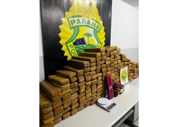 PMPR realiza mais de 300 prisões em ação estratégica em locais com grande circulação