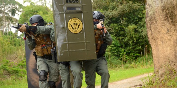 Negociações, resgates e operações de alto risco: grupo Tigre completa 35 anos