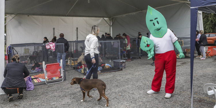 Amigo Bicho e Cãominhada vão deixar o sábado mais animado no Parque Barigui