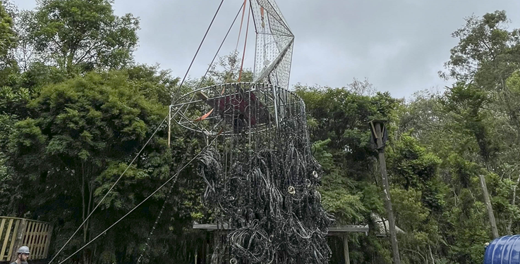 Montagem do Natal da Família Moletta está em ritmo acelerado para estreia no próximo sábado no Umbará