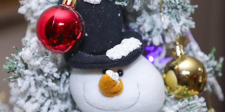 Tradição de fim de ano, Feiras Especiais de Natal de Curitiba abrem nesta quarta-feira