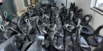 Operação conjunta da PCPR e BOPE apreende 1,2 tonelada de cocaína no Litoral; droga renderia mais de R$ 250 milhões na Europa