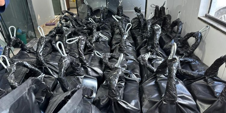 Operação conjunta da PCPR e BOPE apreende 1,2 tonelada de cocaína no Litoral; droga renderia mais de R$ 250 milhões na Europa