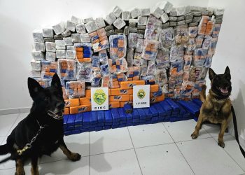 Quase 600 quilos de maconha são apreendidos em depósito após carga se romper durante descarga em São José dos Pinhais