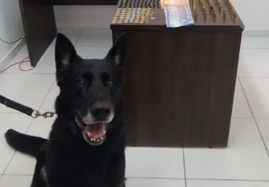 Polícia Militar prende quatro pessoas e apreende arma e drogas em operação em São José dos Pinhais