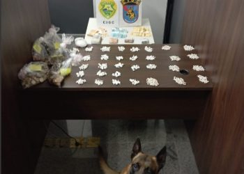 Cão farejador localiza drogas e dupla é presa em Campo Magro