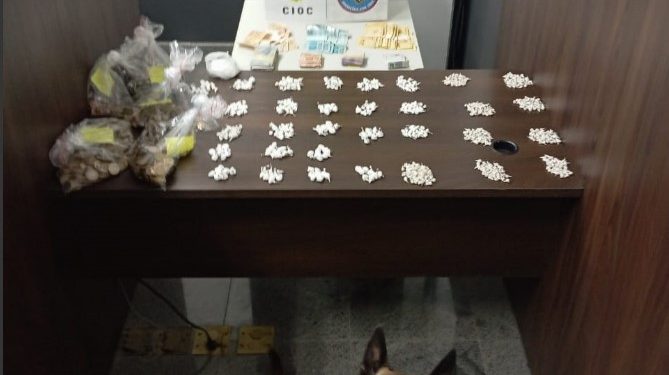 Cão farejador localiza drogas e dupla é presa em Campo Magro