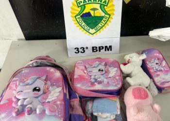 Criminoso é detido após furtar mochila de dentro de carro no Centro de Curitiba