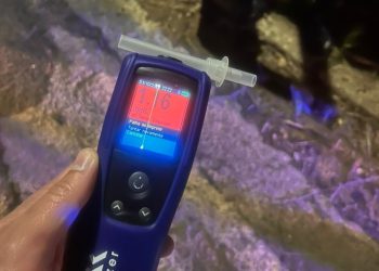 Motorista embriagado é preso após colidir carro contra poste na BR-376