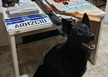 Dois são neutralizados pela RONE durante confrontos distintos