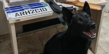 Dois são neutralizados pela RONE durante confrontos distintos