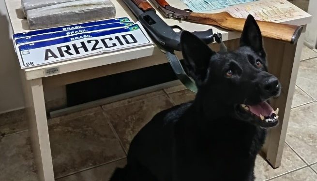 Dois são neutralizados pela RONE durante confrontos distintos