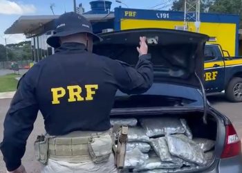 PRF apreende 120 quilos de skunk após acompanhamento tático na BR-277