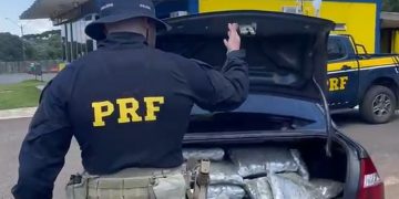PRF apreende 120 quilos de skunk após acompanhamento tático na BR-277