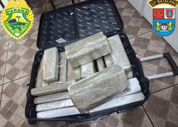 Menor é apreendida transportando mais de 23 quilos de maconha em ônibus interestadual em Curitiba