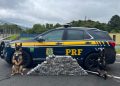 PRF apreende 140 quilos de cocaína em compartimento secreto de caminhonete na BR-376
