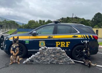 PRF apreende 140 quilos de cocaína em compartimento secreto de caminhonete na BR-376