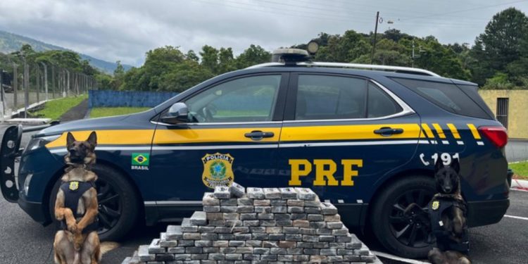 PRF apreende 140 quilos de cocaína em compartimento secreto de caminhonete na BR-376