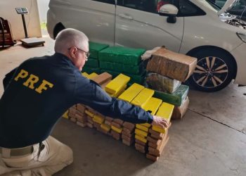 PRF apreende 370 kg de maconha após fuga de motorista e recupera carro furtado