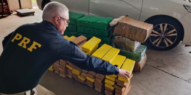 PRF apreende 370 kg de maconha após fuga de motorista e recupera carro furtado