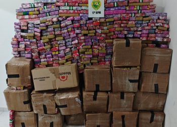 Equipe ROTAM apreende mais de 800 kg de maconha após fuga na BR-376