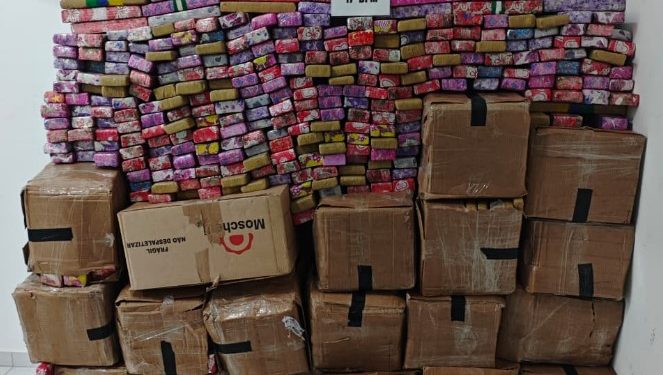 Equipe ROTAM apreende mais de 800 kg de maconha após fuga na BR-376