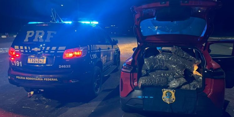 Homem é detido transportando quase 100 kg de droga na BR-277 que seria entregue em Curitiba