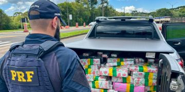 PRF apreende mais de 600 quilos de maconha na BR-277