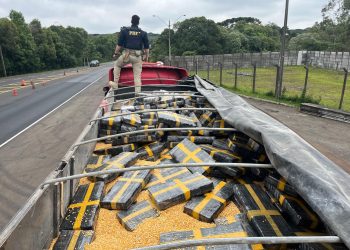 PRF apreende quase 2,5 toneladas de maconha na BR-277